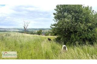 Grundstück zu kaufen in 54441 Kirf, EBENES GRUNDSTÜCK MIT TOLLER FERNSICHT U. PLÄNEN FÜR EIN ARCHITEKTENHAUS!
