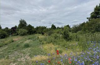 Grundstück zu kaufen in 39167 Niederndodeleben, Bauland im Mischgebiet ca. 5.800 m²Hohe Börde OT Niederndodeleben