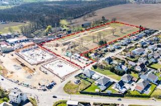 Grundstück zu kaufen in 04654 Frohburg, Baugrundstücke in Frohburg – flexibel bebaubar, provisionsfrei & gut gelegen