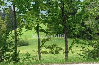 Gewerbeimmobilie kaufen in 64297 Eberstadt, Ackerlandfläche in Darmstadt-Eberstadt