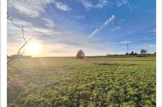 Gewerbeimmobilie kaufen in Welsberg, 96274 Itzgrund, Wiese und Streuobstwiese am Ortsrand - Seit 40 Jahren ökologisch bewirtschaftet
