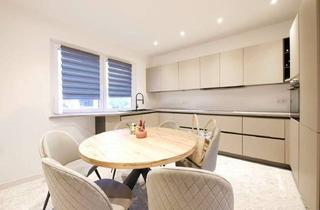 Wohnung mieten in Pankratiusstr. 151, 33098 Paderborn, Modern sanierte 2-Zimmer-Wohnung in begehrter Südstadtlage – bezugsfertig ab 01.03.2026