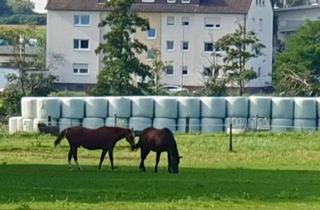 Wohnung mieten in 65843 Sulzbach, Erstbezug nach Komplettsanierung - schöne 2-Zimmer-Dachgeschosswohnung in Sulzbach