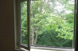 Wohnung mieten in Glückstraße 12a, 38114 Braunschweig, 2-Zi.-Whg. westlicher Ring NUR für 1 Person !