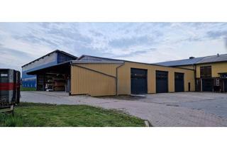 Gewerbeimmobilie mieten in 25355 Bullenkuhlen, Lagerhalle, Gewerbehalle, Lager