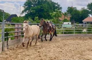 Haus kaufen in 17375 Luckow, Wasser, Wald und Pferde, Reiterhof beim Haff !!!