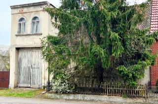 Einfamilienhaus kaufen in Holzhausener Str., 39629 Bismark, Baugrundstück mit Einfamilienhaus zur Sanierung oder Neubau in Bismark (Altmark)