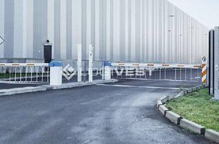 Gewerbeimmobilie mieten in 92546 Schmidgaden, Entstehende Neubauhalle zur flexiblen Nutzung für Lager, Logistik und Produktion nahe der A6