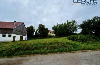 Grundstück zu kaufen in Eichenstraße 1b, 86866 Mickhausen, 941 m² Baugrundstück mit genehmigtem Doppelhausprojekt