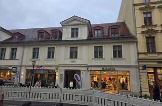 Büro zu mieten in Brandenburger Straße 25, 14467 Nördliche Innenstadt, Komplett sanierte Büro-/Praxisfläche in Top Lage- provisionsfrei!