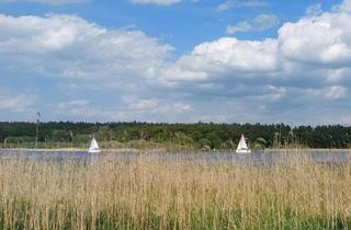 Grundstück zu kaufen in 14712 Rathenow, Parkähnliches Grundstück mit B-Plan am Ufer des Hohennauener Sees, fußläufig z. Golfresort Semlin