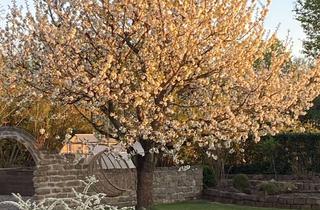 Immobilie mieten in 97447 Gerolzhofen, Ein Haus zum Verlieben