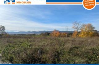 Immobilie kaufen in 67435 Neustadt, Wohnen am Feldrand mit Blick auf die Haardt