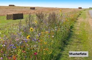 Immobilie kaufen in 96123 Litzendorf, Landwirtschaftsfläche - provisionsfrei