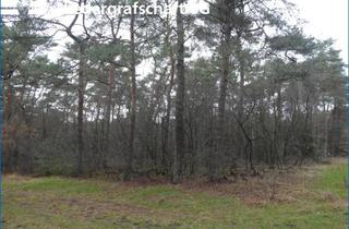 Immobilie kaufen in 49849 Wilsum, Waldfläche im Bereich Wilsum/Uelsen