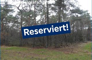 Immobilie kaufen in 49849 Wilsum, Waldfläche im Bereich Wilsum/Uelsen