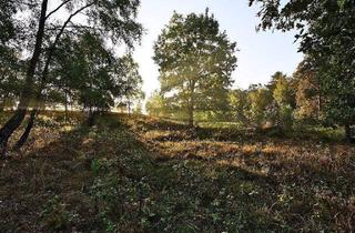 Wohnung kaufen in 01454 Radeberg, Radeberg - Naturnah an der Dresdner Heide leben mit Balkon & Tageslichtbad!