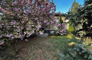 Einfamilienhaus kaufen in 15732 Schulzendorf, Schulzendorf - 4R Einfamilienhaus mit großen Nebengelass in Schulzendorf