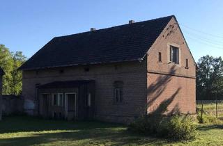 Einfamilienhaus kaufen in 04924 Bad Liebenwerda, Bad Liebenwerda - freistehendes Einfamilienhaus, Nähe Kurstadt Bad Liebenwerda