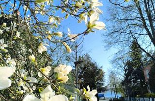 Wohnung mieten in Jahnstraße, 88662 Überlingen, Gelegenheit, nur 70 Meter vom See entfernt zu wohnen(möblierte Wohnung).