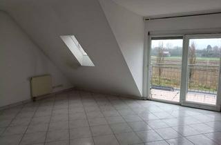 Wohnung mieten in 64347 Griesheim, Helle 2,5-Zimmer Dachgeschosswohnung in Griesheim