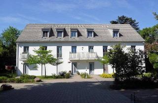 Wohnung mieten in Lutherplatz, 01662 Meißen, Gemütliche 1,5-Raumwohnung in zentraler Lage von Meißen-Cölln