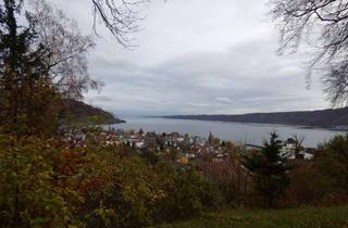 Wohnung mieten in 78351 Bodman-Ludwigshafen, 2-Zimmer- Souterrainwohnung in Bodman-Ludwigshafen