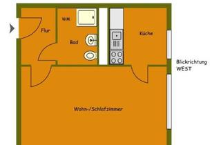 Wohnung mieten in Ahrenshooperstr. 74, 13051 Neu-Hohenschönhausen, Möbilierte 1-Zimmer Wohnung