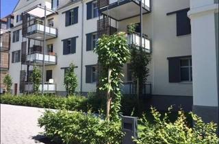 Wohnung mieten in 67063 Friesenheim/Nord, Top-Ausstattung, super schick & modern! 4,5-Zimmer-Wohnung mit West-Balkon & EBK