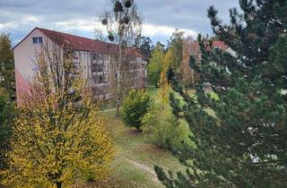 Wohnung mieten in Hermann-Matern-Straße 15, 15320 Neuhardenberg, Renovierungsbonus! Großzügige 3 -Raumwohnung mit Tageslichtbad, Balkon und Aufzug!