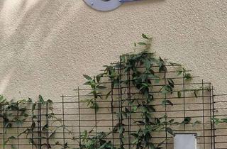 Wohnung mieten in Sachsenplatz, 01705 Freital, Erstbezug nach Sanierung: 3-Zi.-Wohnung im 3. OG in Freital