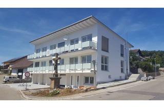 Wohnung mieten in Westliche Hauptstraße 60/1, 76684 Östringen, moderne 1-Zimmer-Wohnung mit Balkon in Östringen-Tiefenbach