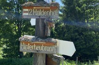 Gewerbeimmobilie mieten in 79692 Neuenweg, Lukratives Anlageobjekt: Hotel und Berggasthof „Haldenhof“ in 79692 Kleines Wiesental