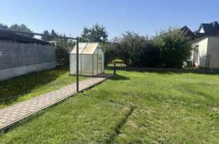 Einfamilienhaus kaufen in 04928 Plessa, Mehrgenerationenhaus - Zusammenleben von Jung & Alt