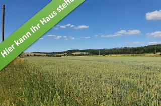 Haus kaufen in Am Sweenhof, 38723 Seesen, Für alle, die es großzügig lieben. Ihr Familienhaus im kommenden Baugeb. in Münchehof.