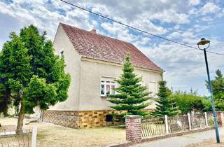 Einfamilienhaus kaufen in 14929 Treuenbrietzen, Sanierungsbedürftiges Einfamilienhaus in Treuenbrietzen