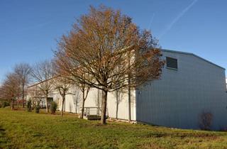 Gewerbeimmobilie mieten in 73457 Essingen, Lager-/Produktions-/Montagehalle - Teilfläche möglich - 10t Kran - an der B29 Richtung AA/Stuttgart