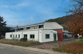 Gewerbeimmobilie kaufen in 07980 Berga, Attraktive Gewerbeimmobilie mit Entwicklungspotenzial in Berga-Wünschendorf