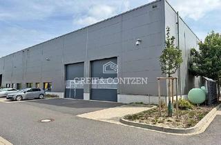 Büro zu mieten in 50170 Kerpen, Moderne Gewerbehalle mit integrierten Büroflächen | kurzfristig verfügbar