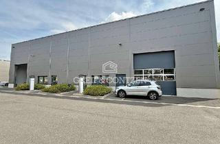 Büro zu mieten in 50170 Kerpen, Hallen- und Büroflächen am AB-Kreuz Kerpen | ebenerdige Tore | Greif & Contzen