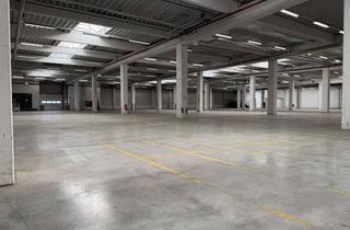 Büro zu mieten in 71083 Herrenberg, Vermietung eines Gewerbeobjektes mit modernen Produktions-/ Lagerflächen und Bürogebäude