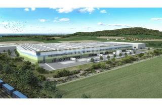 Gewerbeimmobilie mieten in 74635 Kupferzell, Direkt vom Eigentümer, provisionsfrei: ca. 28.800 m² Neubau-Logistikimmobilie