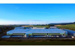 Gewerbeimmobilie mieten in 74635 Kupferzell, Direkt vom Eigentümer, provisionsfrei: ca. 28.800 m² Neubau-Logistikimmobilie im Erstbezug