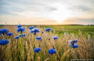 Grundstück zu kaufen in 94259 Kirchberg im Wald, Baugrundstück mit Baugenehmigung & Planung im WA-Gebiet – EFH oder Vierfamilienhaus möglich