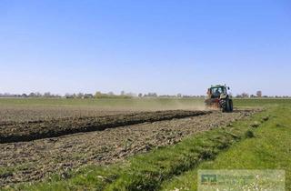 Grundstück zu kaufen in 95514 Neustadt, Bauerwartungsland Gewerbegebiet "Neumühle"
