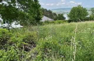 Grundstück zu kaufen in 55452 Laubenheim, Laubenheim (Nahe) Baugrundstück in Ortsrandlage