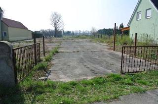 Grundstück zu kaufen in Liebenwerdaer Str., Zwischen Nr. 41/43, 01979 Lauchhammer, Sonniges ebenes Baugrundstück mit großer Wiese und Erholungsfläche, Mietkauf möglich