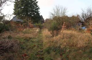 Grundstück zu kaufen in 21509 Glinde, Schönes Baugrundstück in Glinde