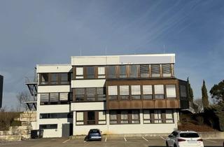 Gewerbeimmobilie kaufen in 74078 Neckargartach, Repräsentatives Gewerbeanwesen mit weitläufigem Grundstück "Wannenäckerstraße" in 74078 Heilbronn