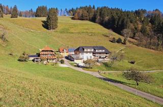 Immobilie mieten in Gipf 2A, 79244 Münstertal, Schöne gemütliche 2 Zimmerwohnung wohnen wo andere Urlaub machen!